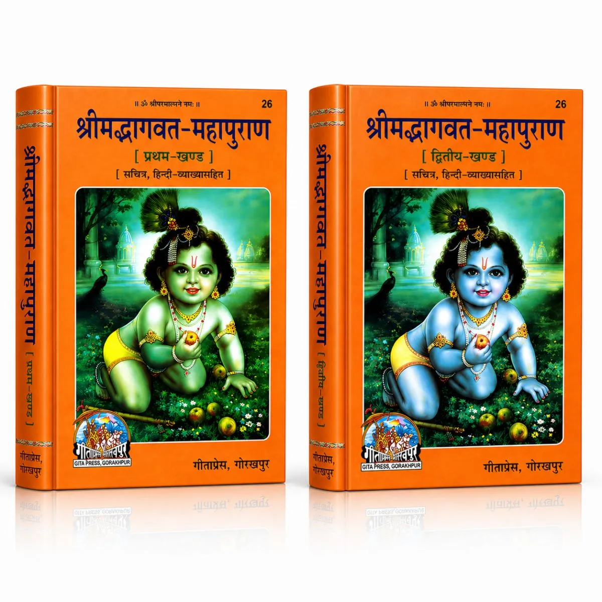 भागवत कथा (Bhagvat katha)
