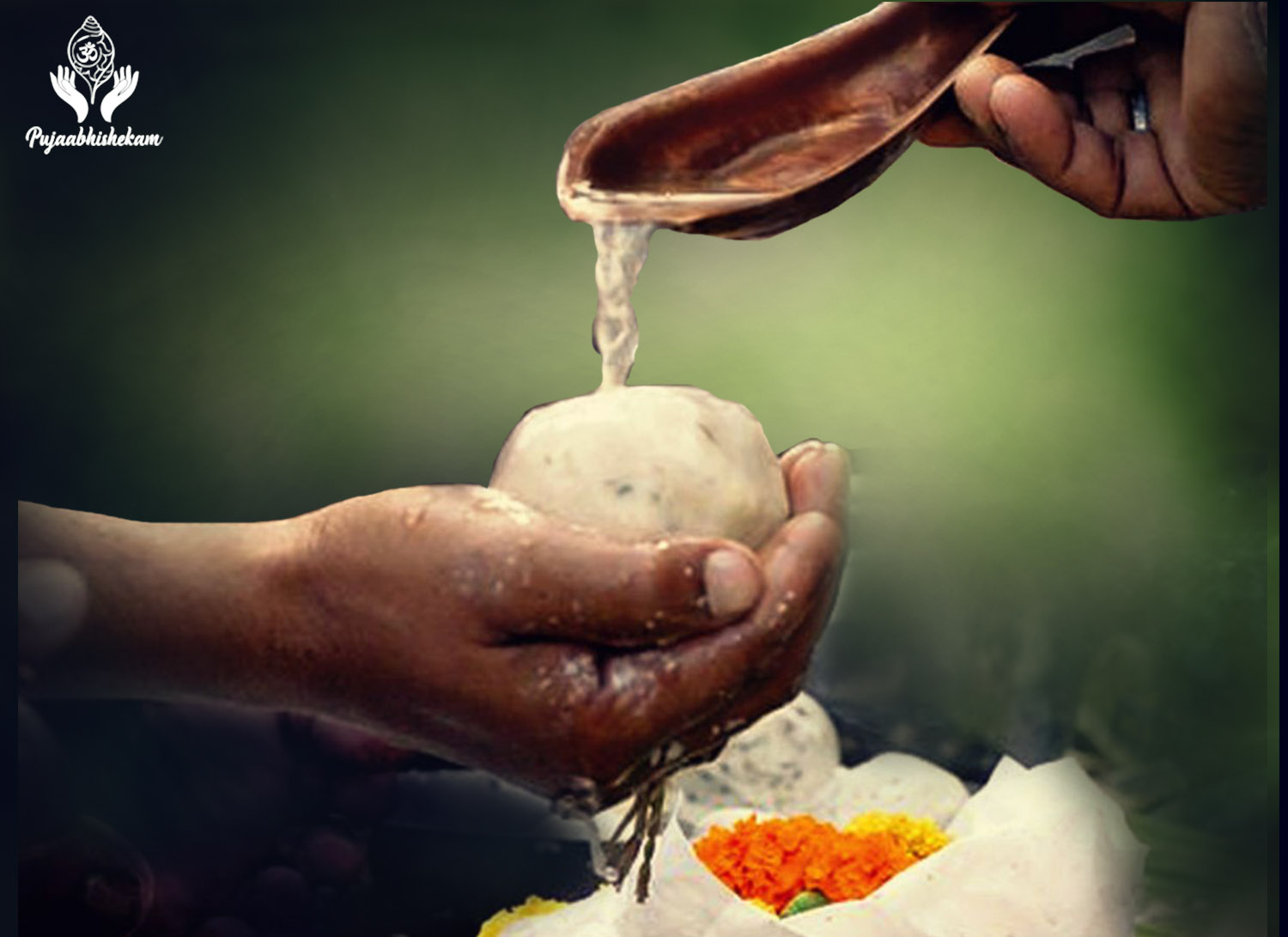 पितृ दोष (Pitra Dosh)